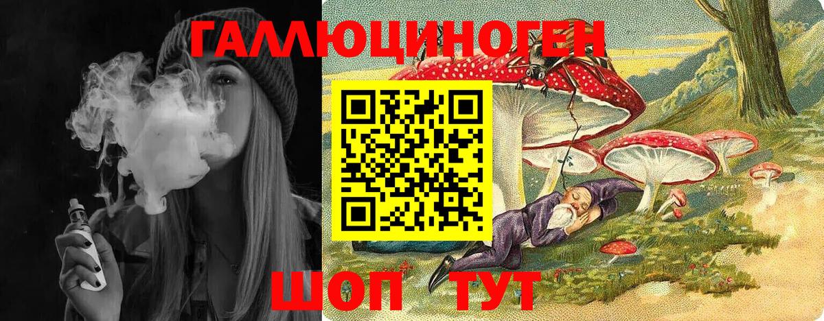 Галлюциногенные грибы Psilocybine cubensis Магадан